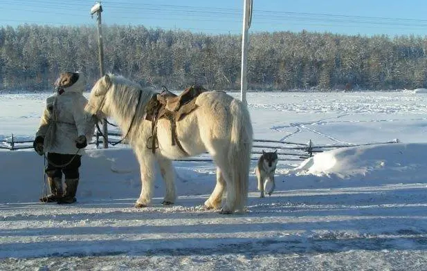 Siberia