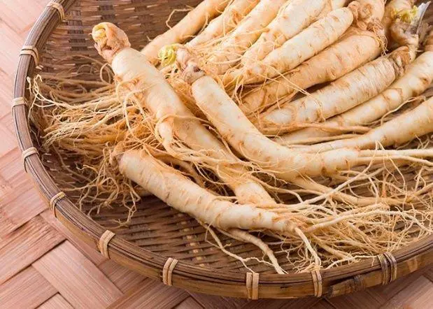 Ginseng