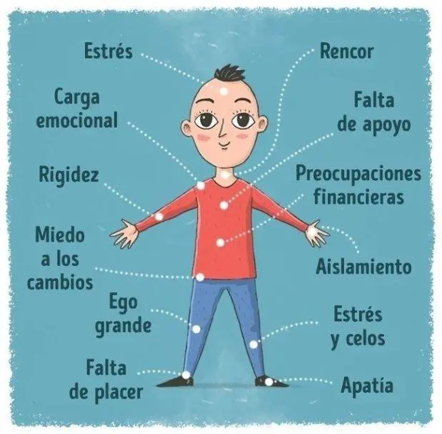 12 señales