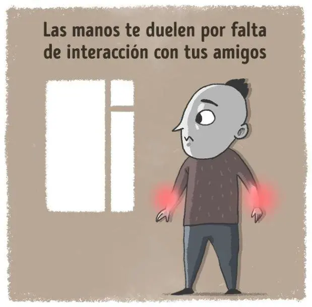 Muñecas