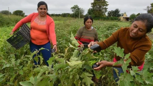 Bolivianos