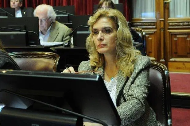 La diputada Elas de Prez asegur que la idea es que la sancin de la Ley 'sea un trmite rpido'