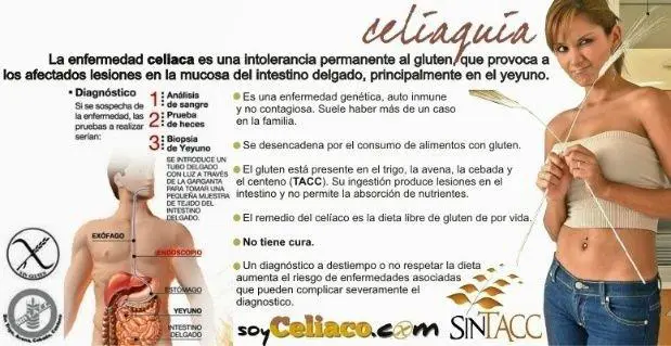 Celiaquia