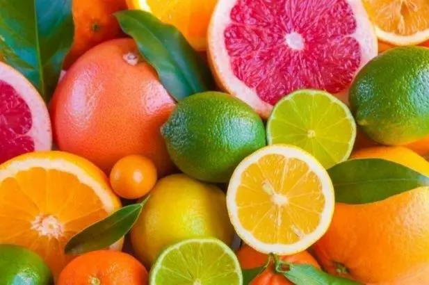 Citricos