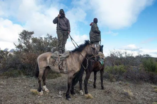 mapuches