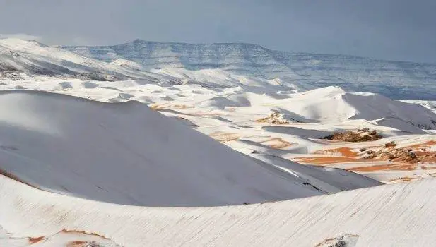 sahara nieve