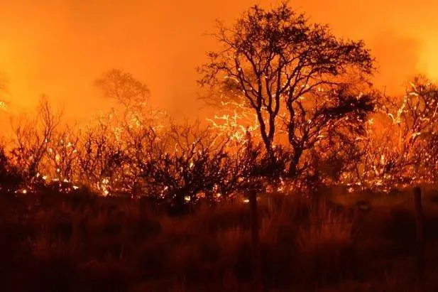 Incendios La Pampa