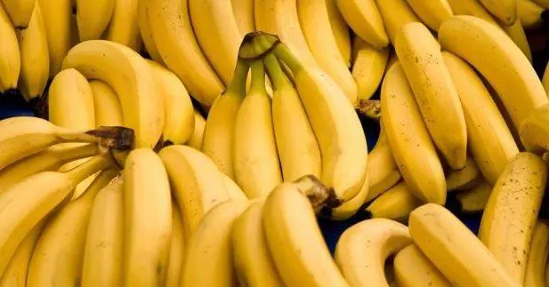 alt title bananas