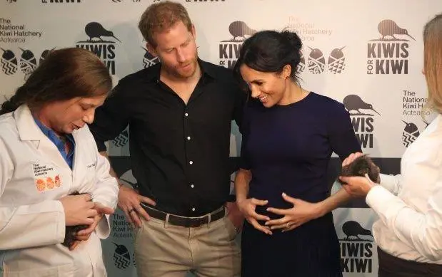 Meghan Markle y el prncipe Harry esperan su primer hijo para abril.