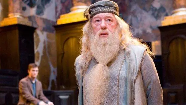 Dumbledore fue el mentor de Harry Potter en las primeras entregas de la saga.