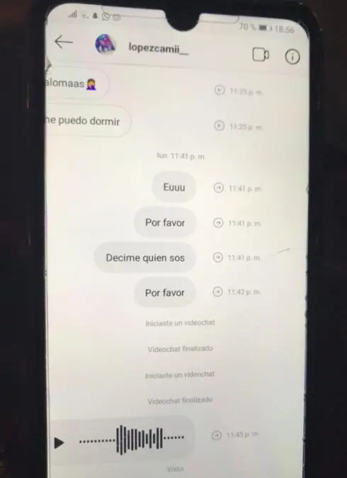 En el chat de Instagram, los mensajes enviados a Camila figuran con un 