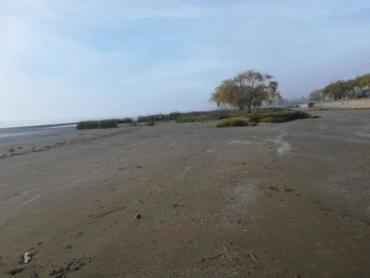 La zona de Punta Lara en la que fueron hallados los huesos (Foto: Infocielo)